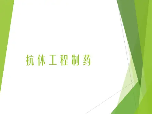 抗体工程制药