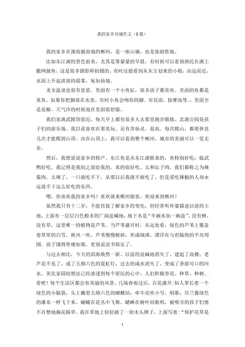我的家乡兴城作文(5篇)