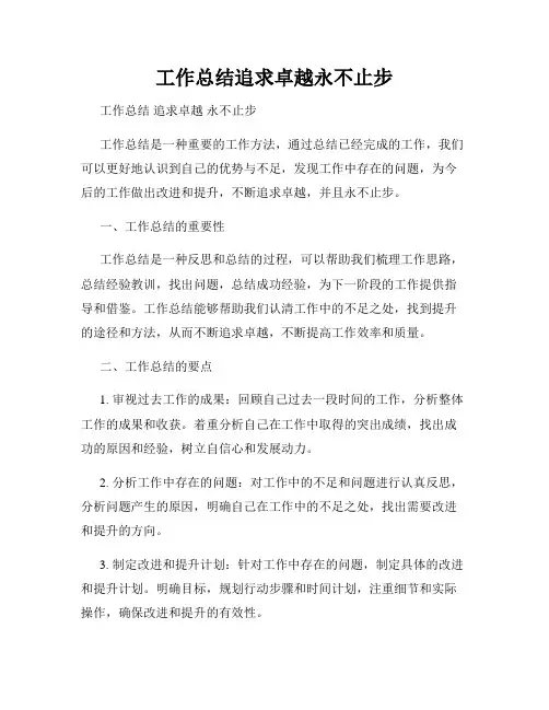 工作总结追求卓越永不止步