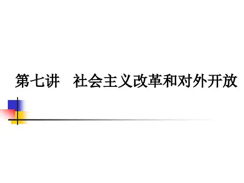毛概第七章