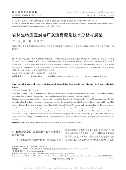 农林生物质直燃电厂灰渣资源化技术分析与展望