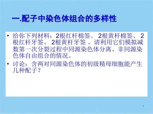 高一生物受精作用(共10张PPT)