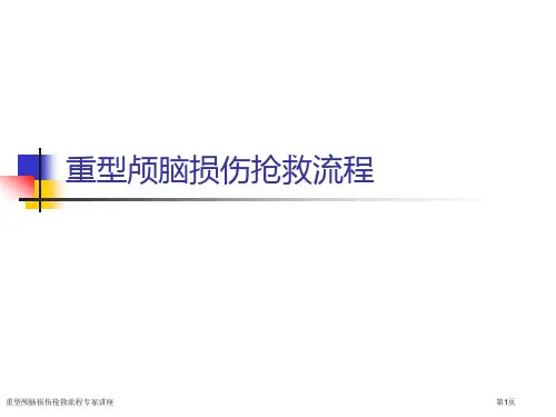 重型颅脑损伤抢救流程专家讲座