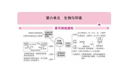 2023年生物中考一轮复习课件(济南版)第六单元++生物与环境(第2课时)++