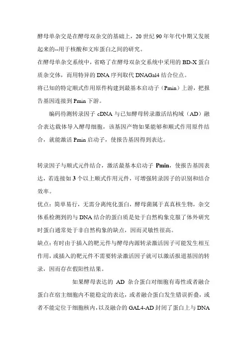 基因工程 酵母单杂交技术的原理及应用
