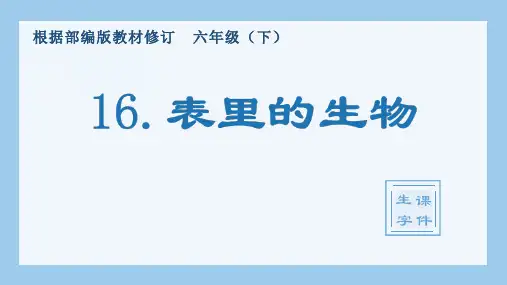 最新部编人教版六年级语文下册16《表里的生物》精品课件(生字教学)