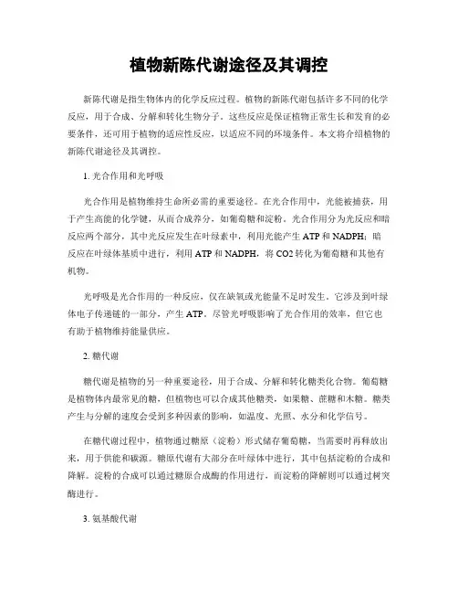 植物新陈代谢途径及其调控