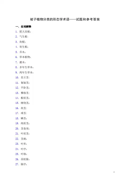 被子植物分类的形态学术语