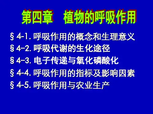 呼吸作用的概念和生理意义