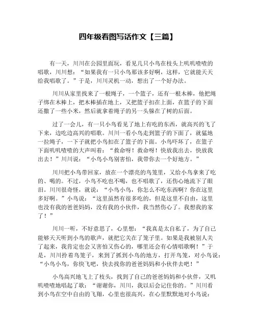 四年级看图写话作文【三篇】