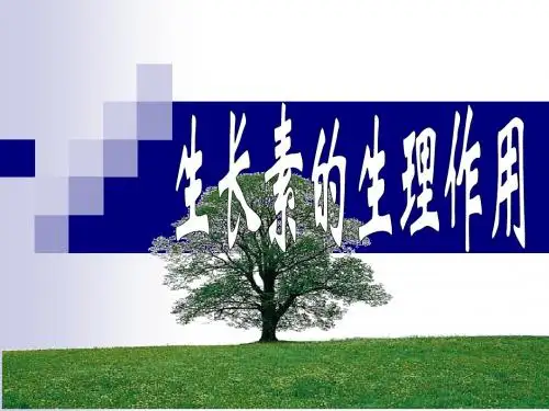 生长素的生理作用