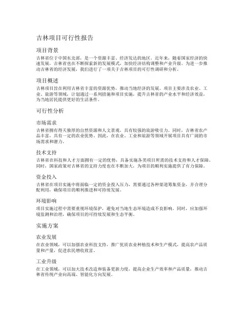 吉林项目可行性报告