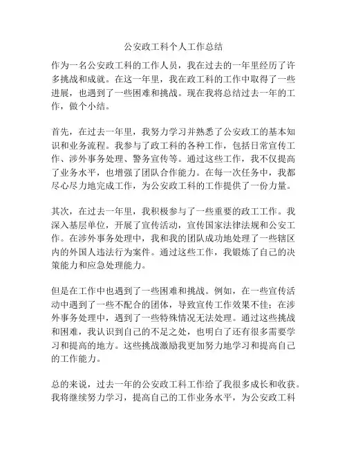 公安政工科个人工作总结