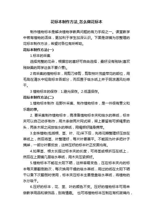 花标本制作方法_怎么做花标本