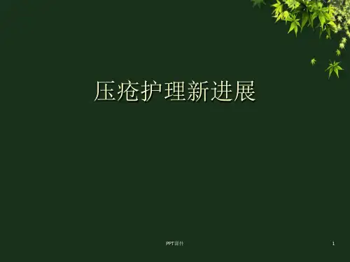 压疮护理新进展  ppt课件
