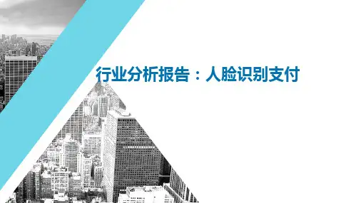 刷脸支付行业分析