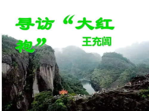 8 寻访“大红袍”