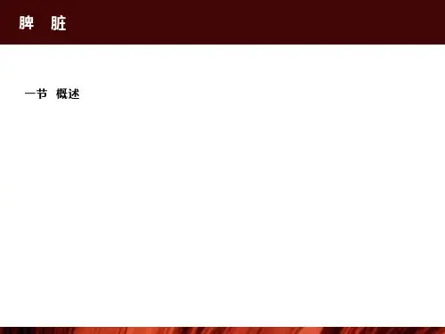 脾脏胰腺的超声诊断