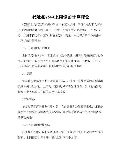 代数拓扑中上同调的计算理论