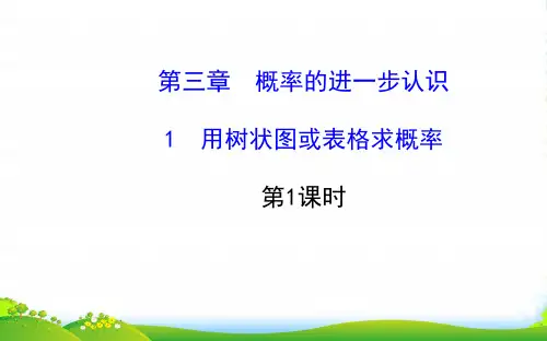 九年级数学上册 第三章 概率的进一步认识 1用树状图或表格求概率(第1课时)习题课件 北师大版
