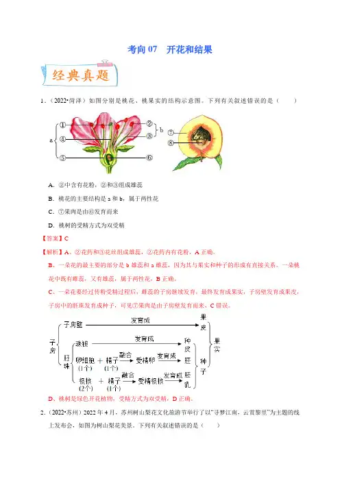 考向07 开花和结果-备战2023年中考生物一轮复习考点微专题(原卷版)
