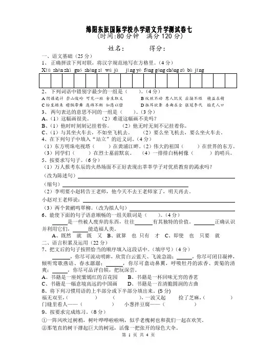 绵阳东辰国际学校小升初语文测试卷七