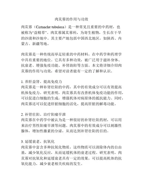 肉苁蓉的作用与功效