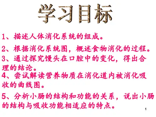 七年级生物下册：第四单元第二章第二节消化和吸收4-人教版PPT课件