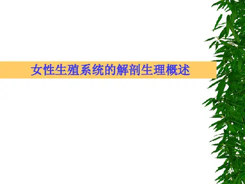 女性生殖系统的解剖生理概述