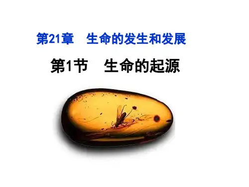 生命的起源-八年级下册生物课件(北师大版)