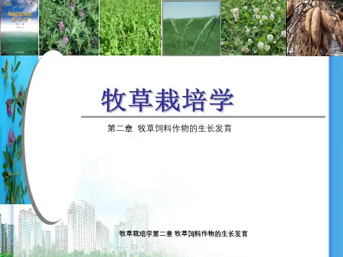 牧草栽培学第二章牧草饲料作物生长发育