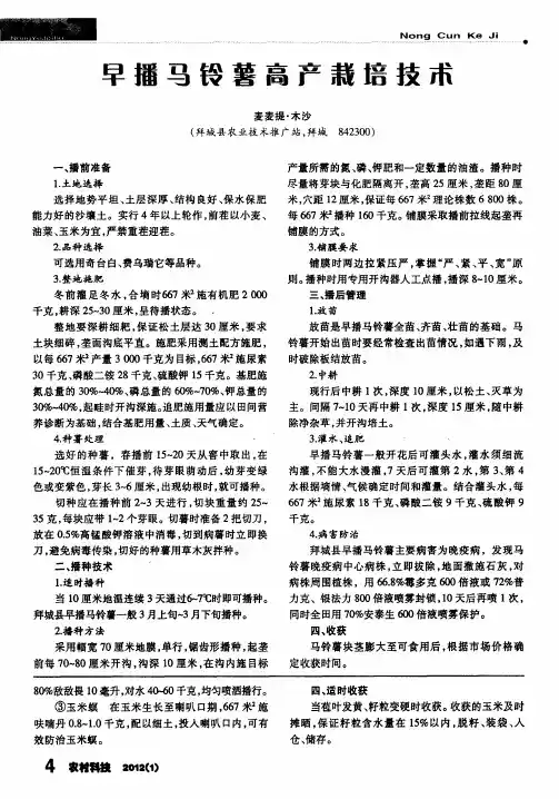 早播马铃薯高产栽培技术
