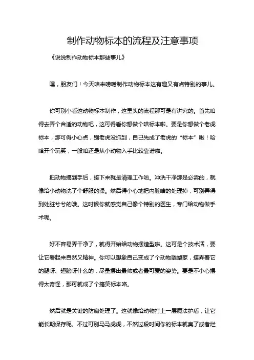 制作动物标本的流程及注意事项