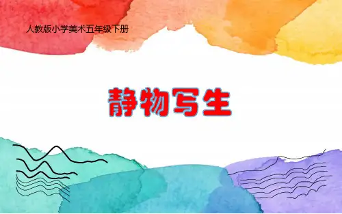小学美术五年级下册第五课《静物写生》课件