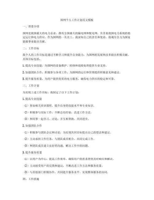 国网个人工作计划范文模板