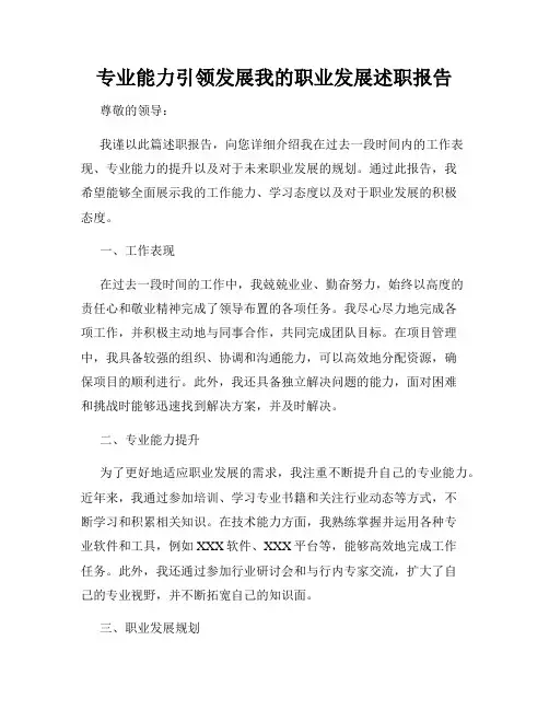 专业能力引领发展我的职业发展述职报告