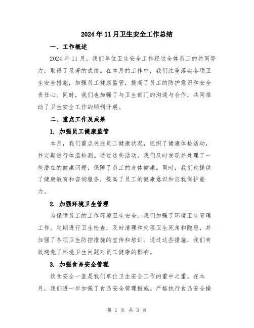 2024年11月卫生安全工作总结
