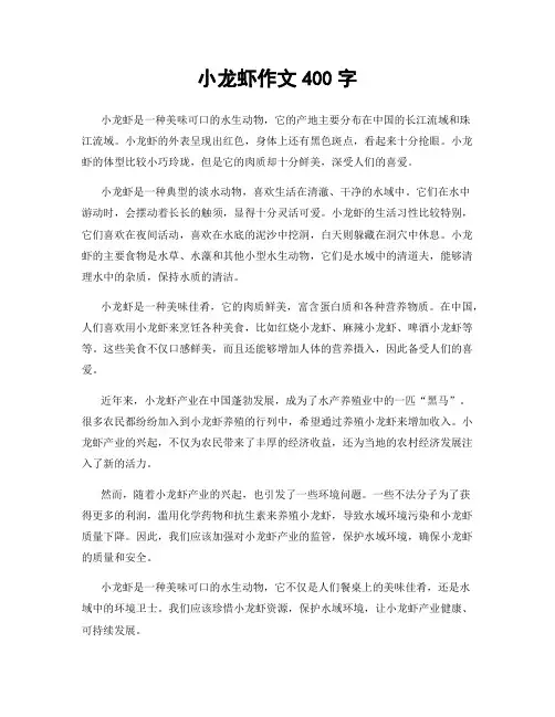 小龙虾作文400字