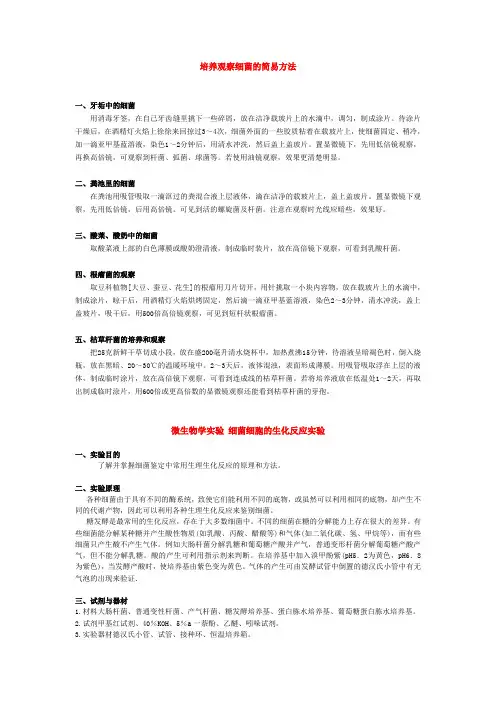 培养观察细菌的简易方法