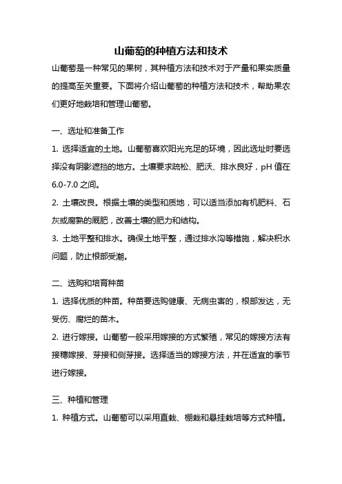 山葡萄的种植方法和技术