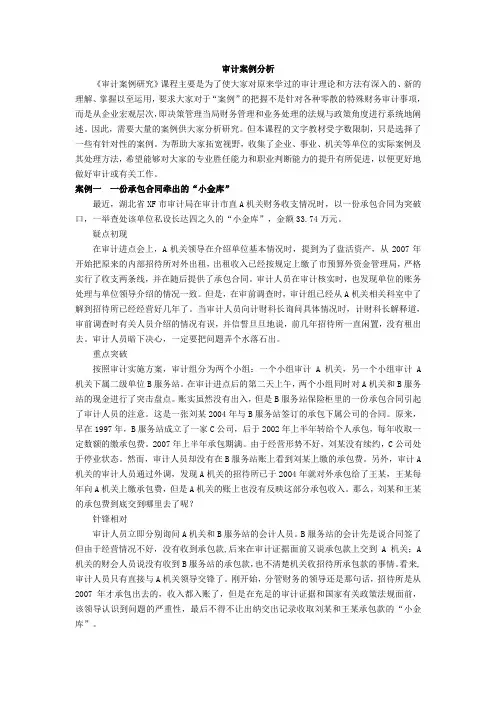 审计案例分析