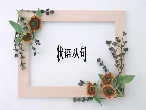高中英语状语从句..(共48张PPT)