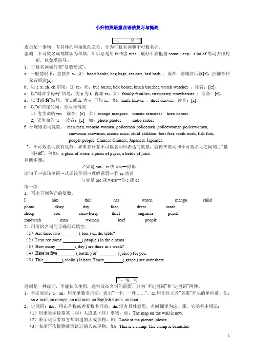 小学英语小升初重点语法复习