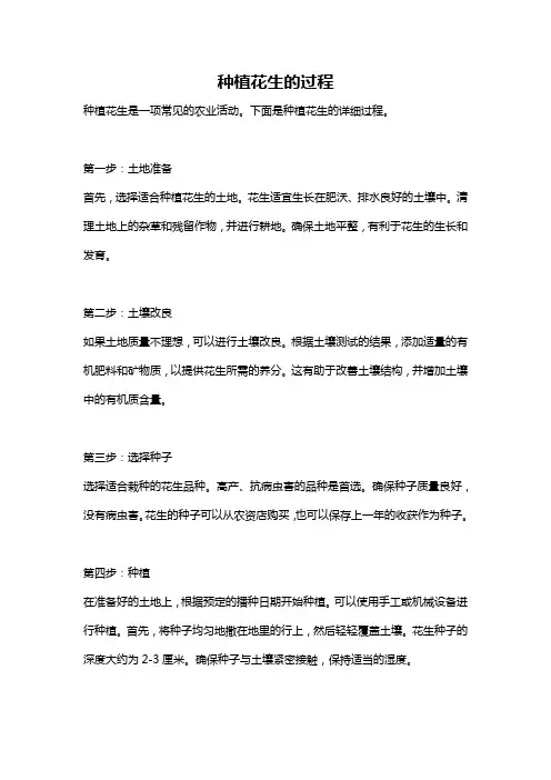 种植花生的过程