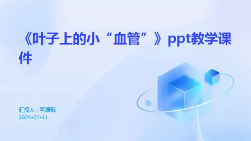 《叶子上的小“血管”》PPT教学课件