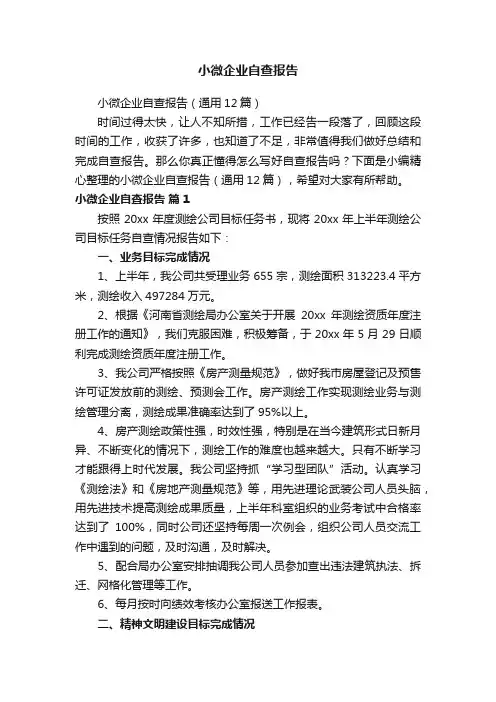 小微企业自查报告（通用12篇）
