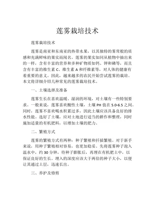 莲雾栽培技术
