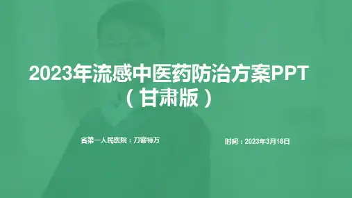 2023年流感中医药防治方案PPT
