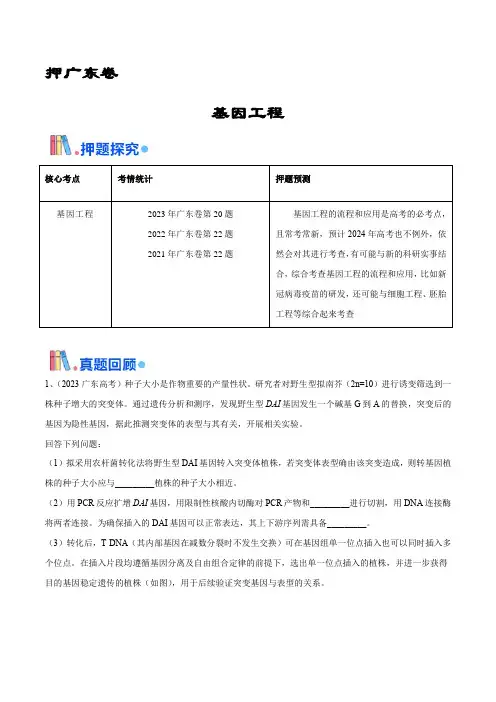 押广东卷第20题 基因工程(原卷版)