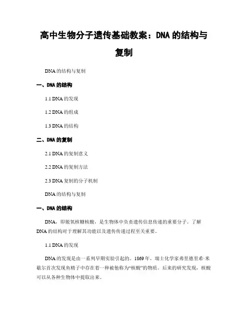 高中生物分子遗传基础教案：DNA的结构与复制